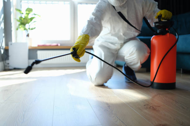 Reliable Odor Removal contractor in Madison, FL by Trauma Clean Pros
